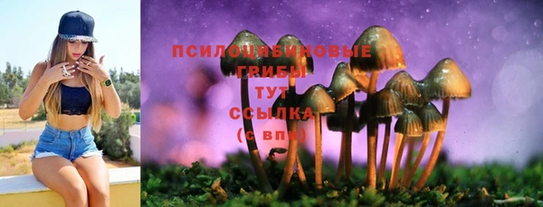 ECSTASY Михайловск