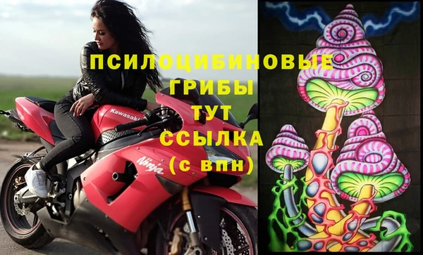 ECSTASY Михайловск