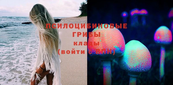 2c-b Михайловка